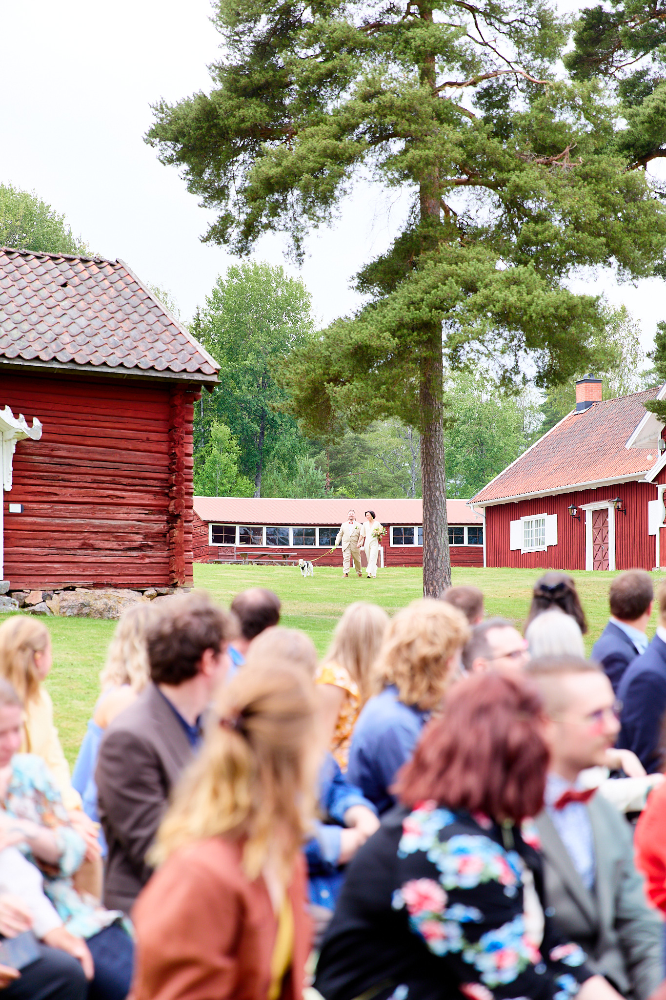 Penguinsatthedisco_Wedding_1_31